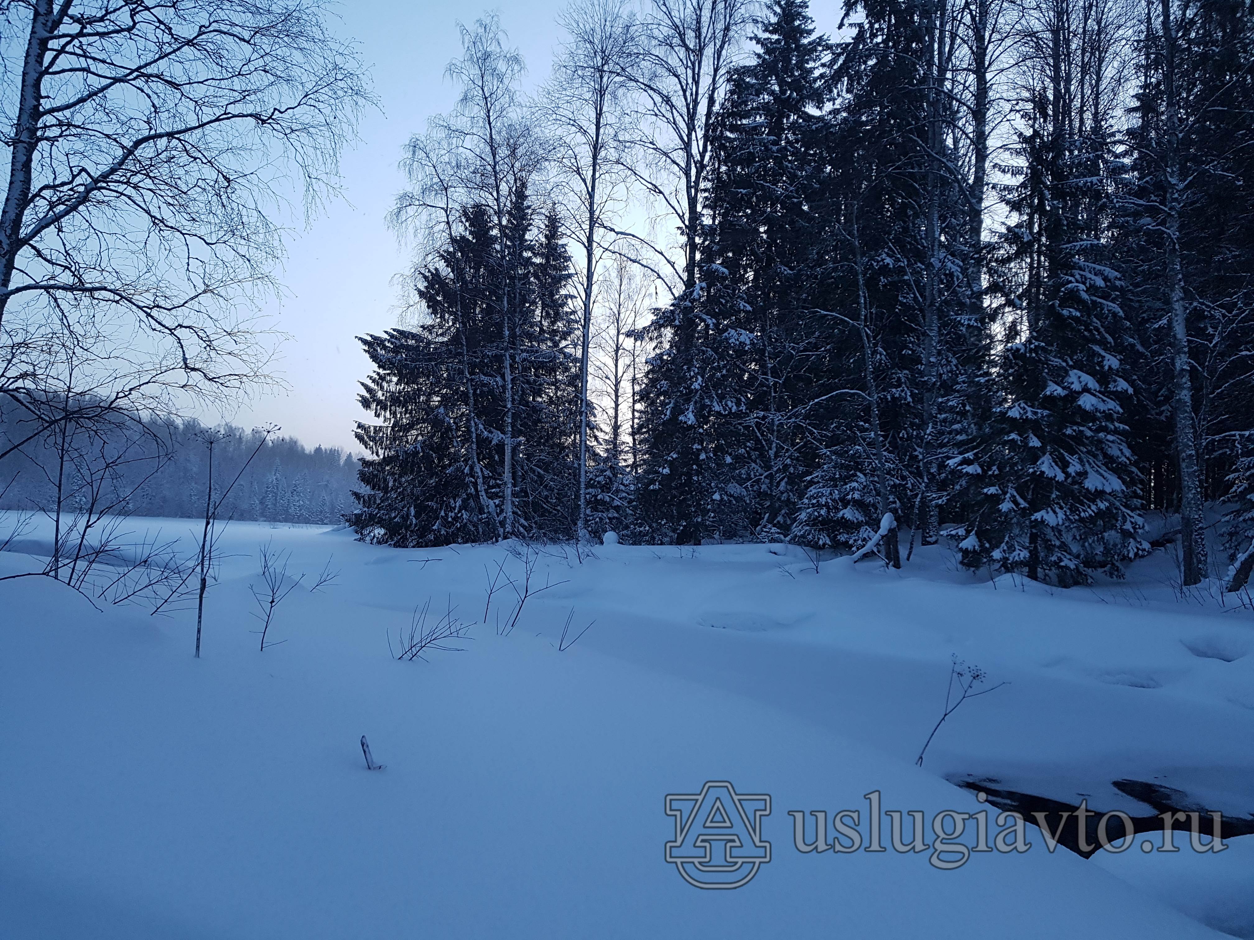 Рассвет в феврале