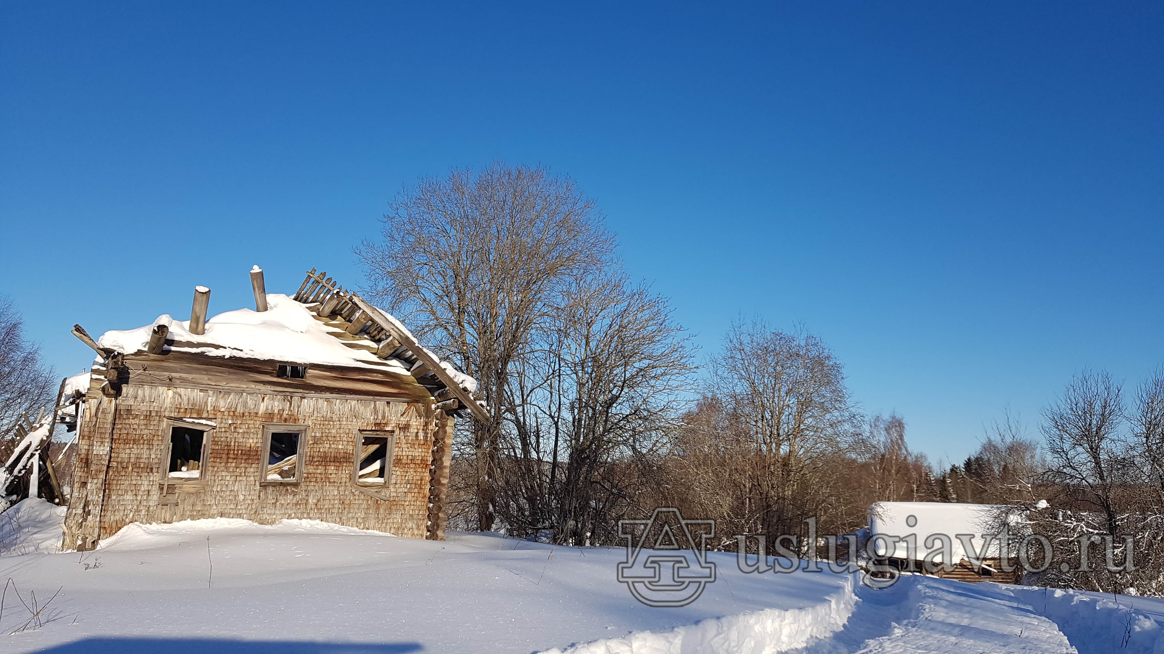 Рябов конец остатки избы 