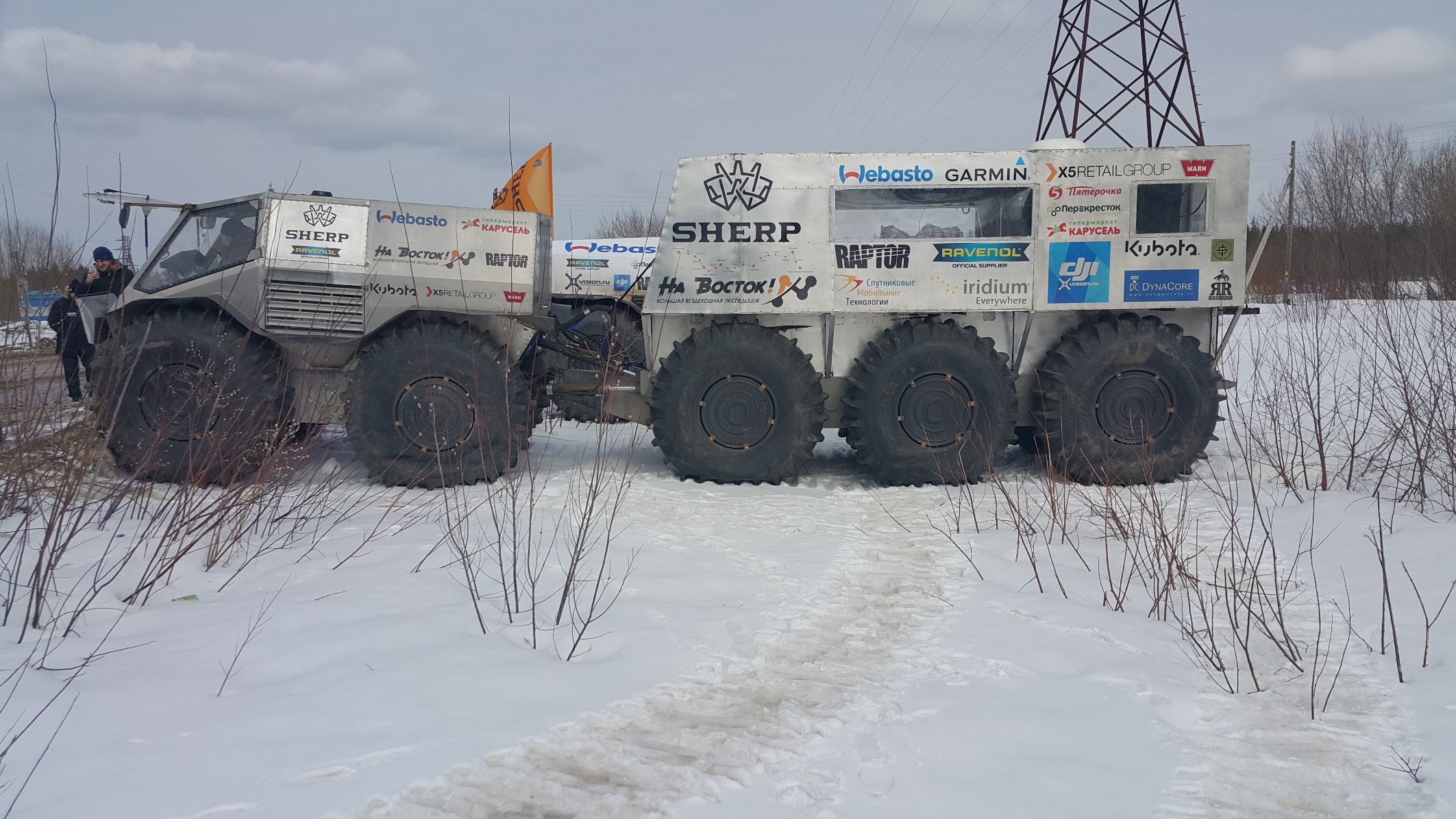 Шерп 10х10 Вид сбоку