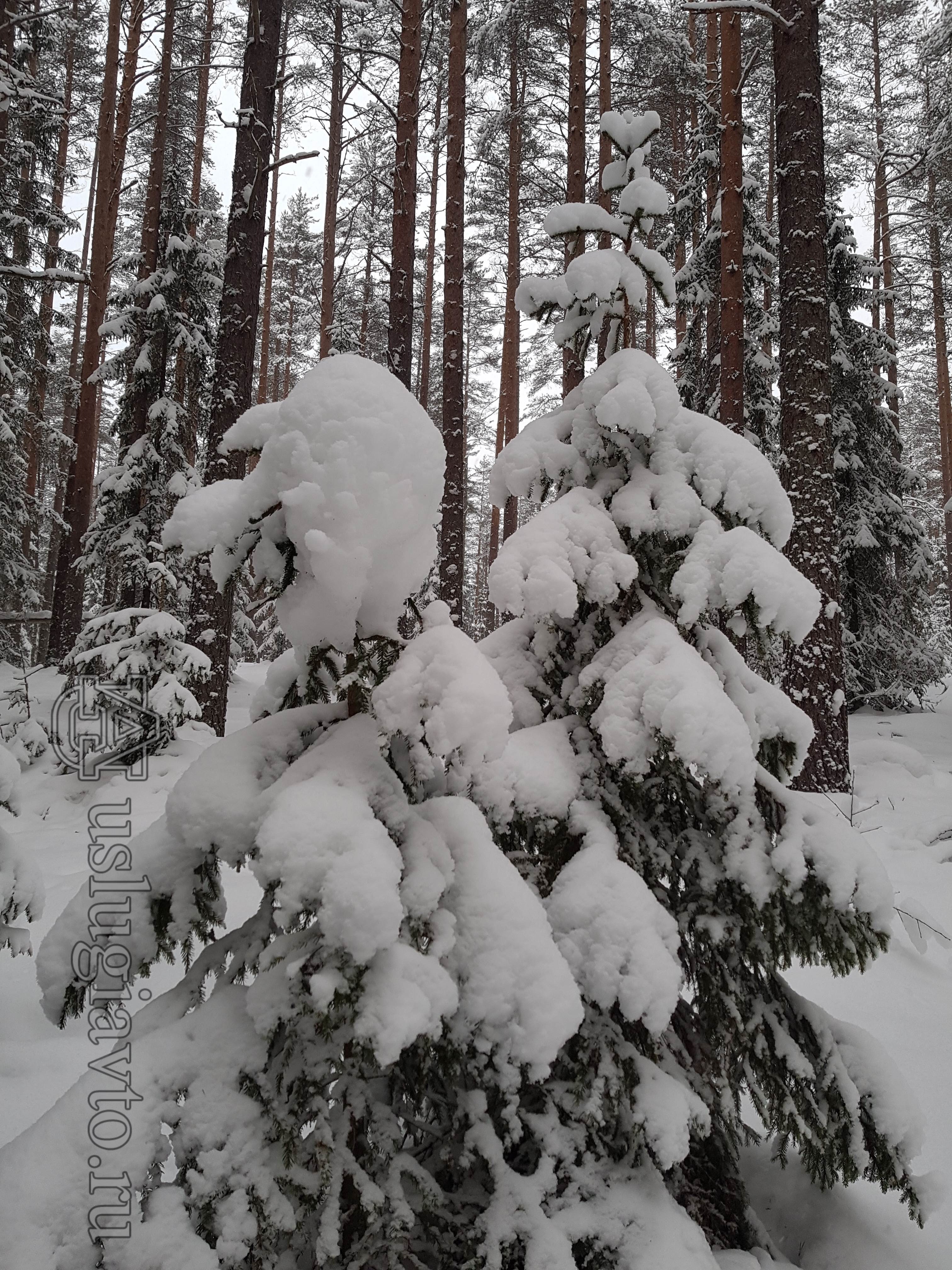 по дороге в нойдалу